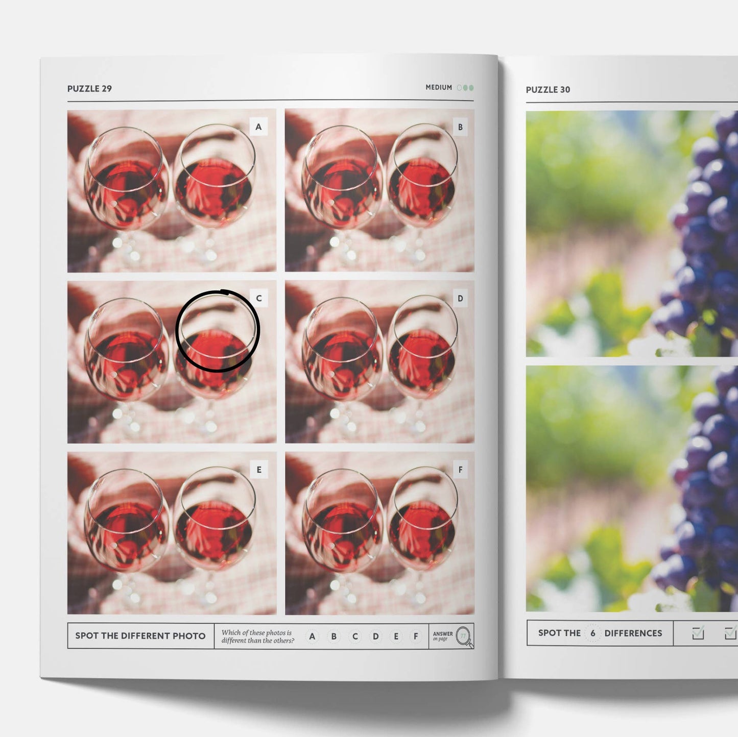 Wine Spot the Difference Puzzles, I Spy Activity Book