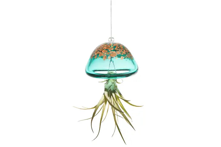 Glass Jellyfish Air Plant Holder