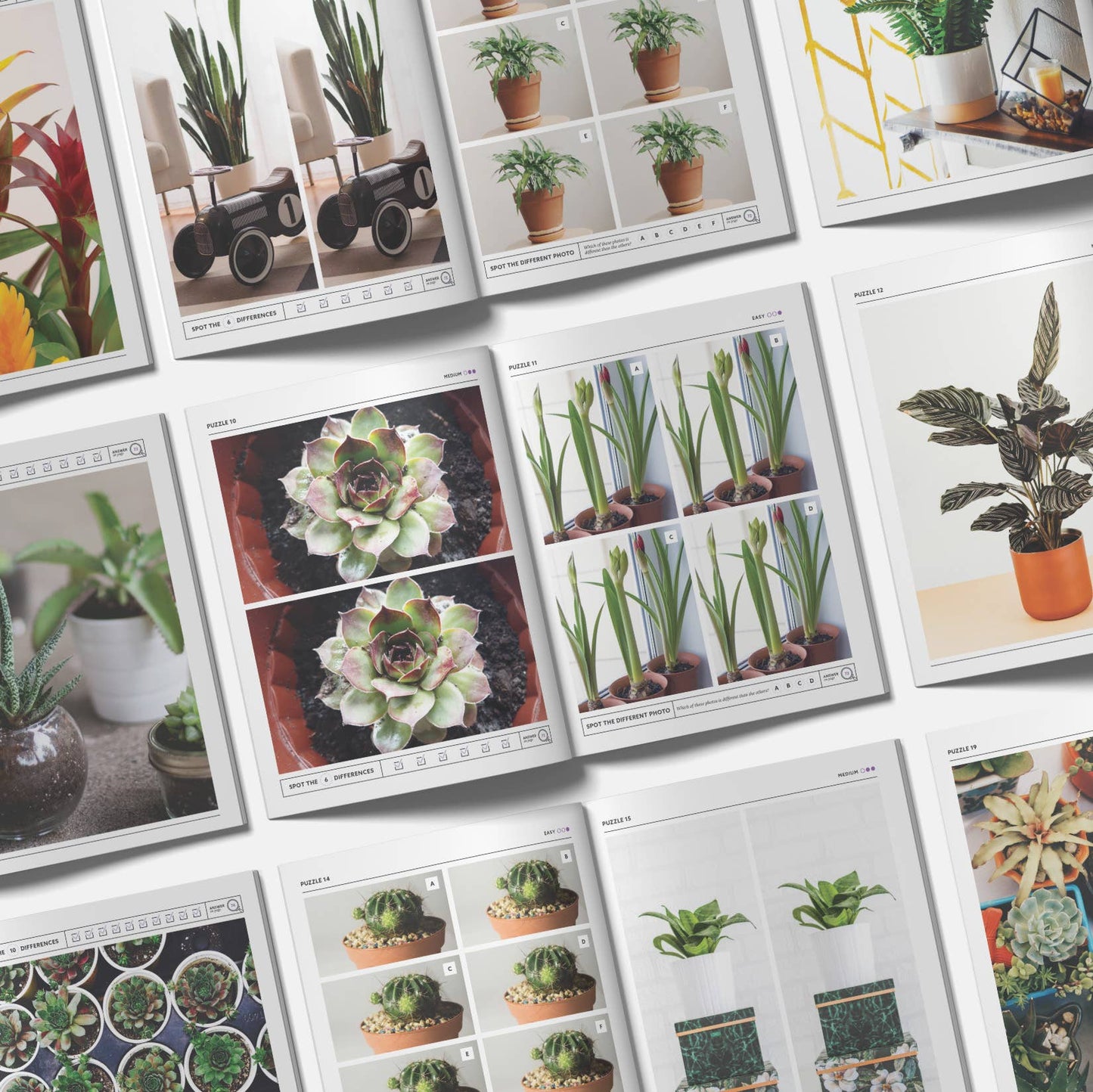 Houseplants Spot the Difference Puzzles, I Spy Activity Book