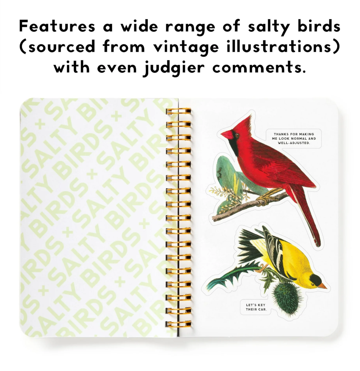 Sticker Book Salty Birds Sticker Book