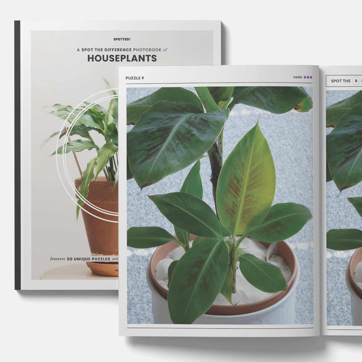 Houseplants Spot the Difference Puzzles, I Spy Activity Book