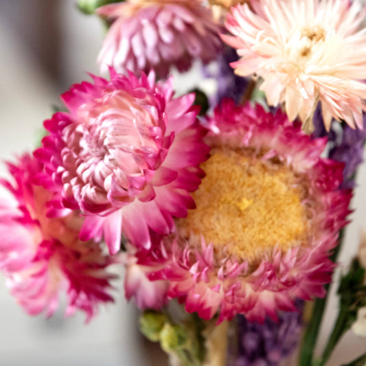 Mini Strawflower & Larkspur Bouquet