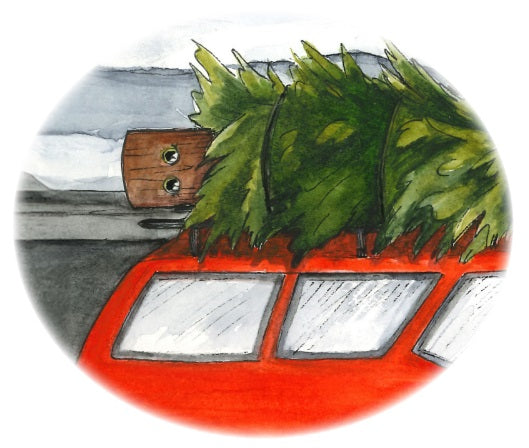 More Than a Christmas Tree