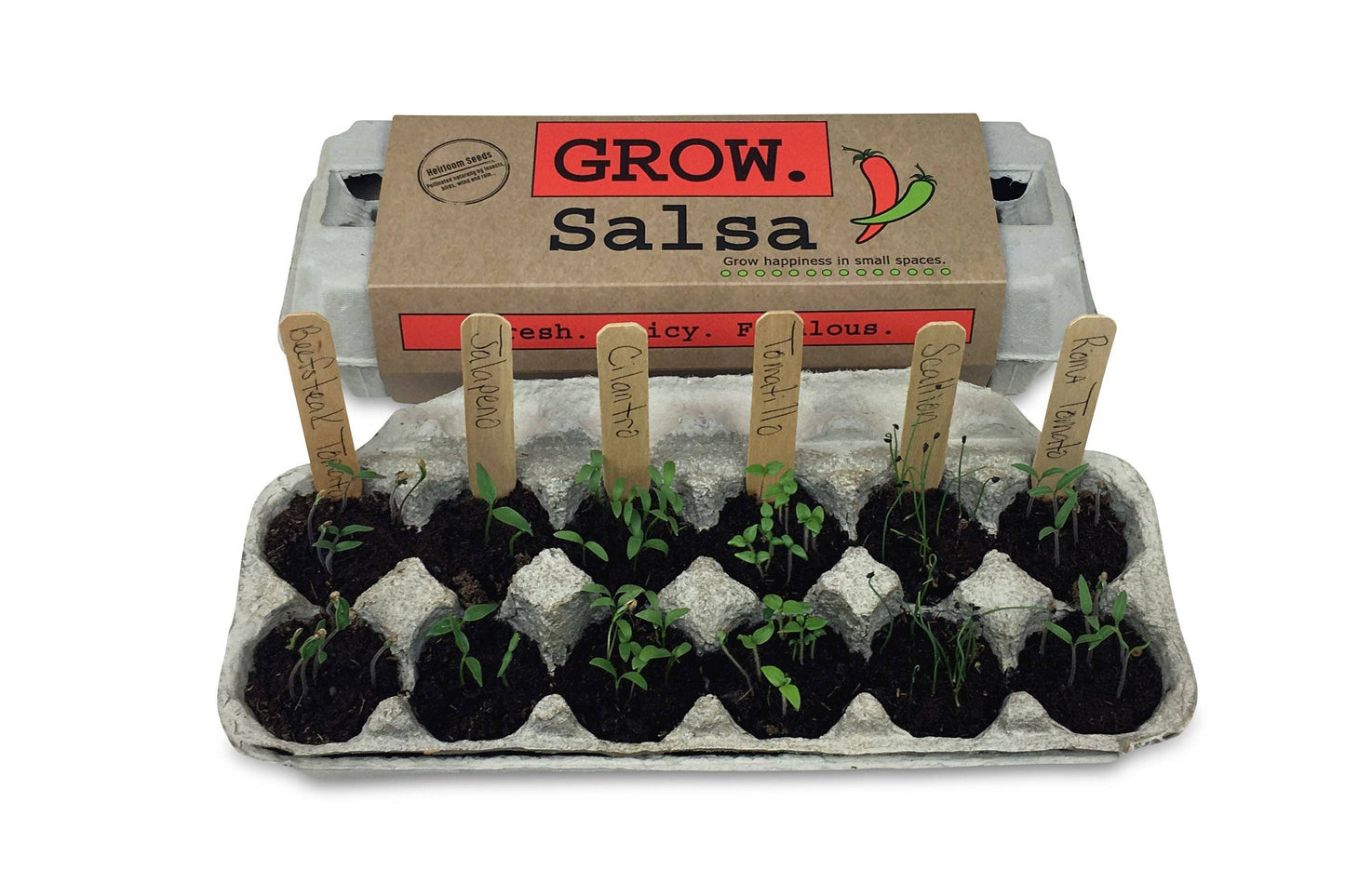 Salsa Garden Grow Kit
