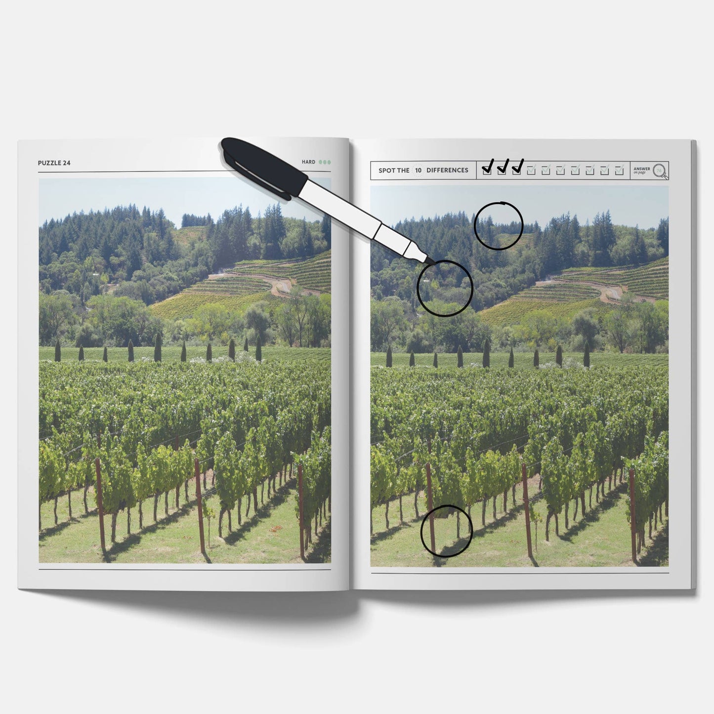 Wine Spot the Difference Puzzles, I Spy Activity Book