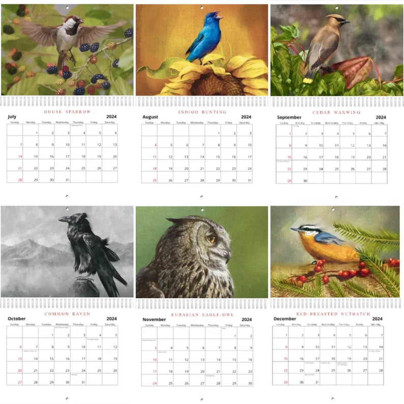 2024 Bird Illustrations Calendar