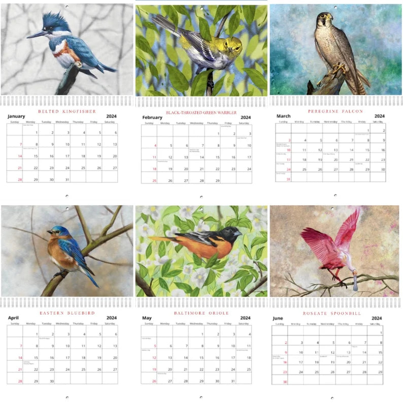2024 Bird Illustrations Calendar