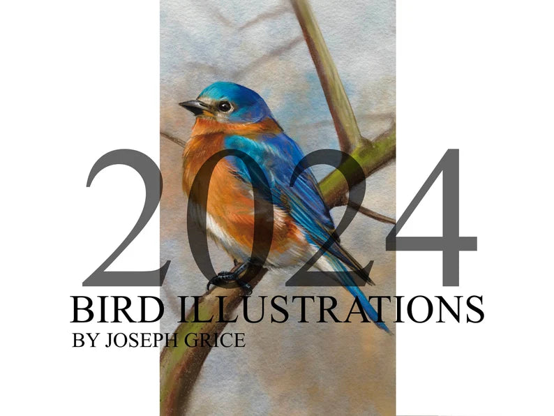 2024 Bird Illustrations Calendar