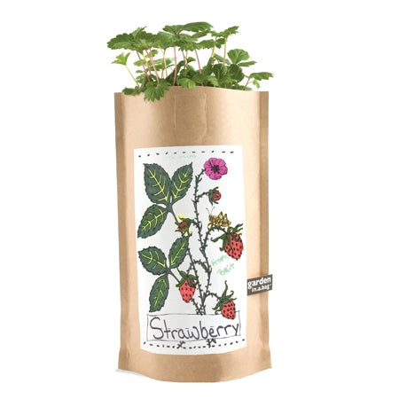 Kids Garden in a Bag | Strawberry