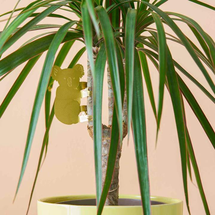 Plant Animal Decoration - Koala Bear