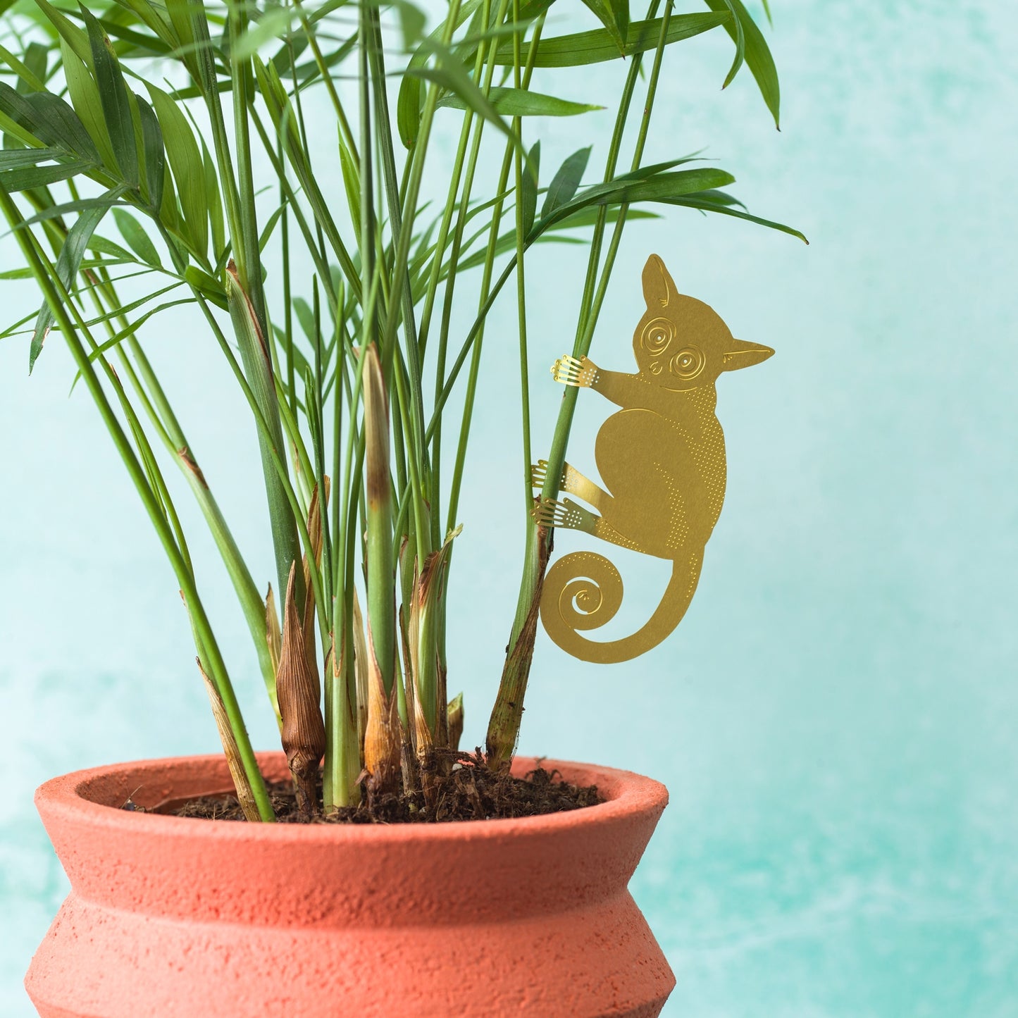 Plant Animal hanging decoration - Bush Baby