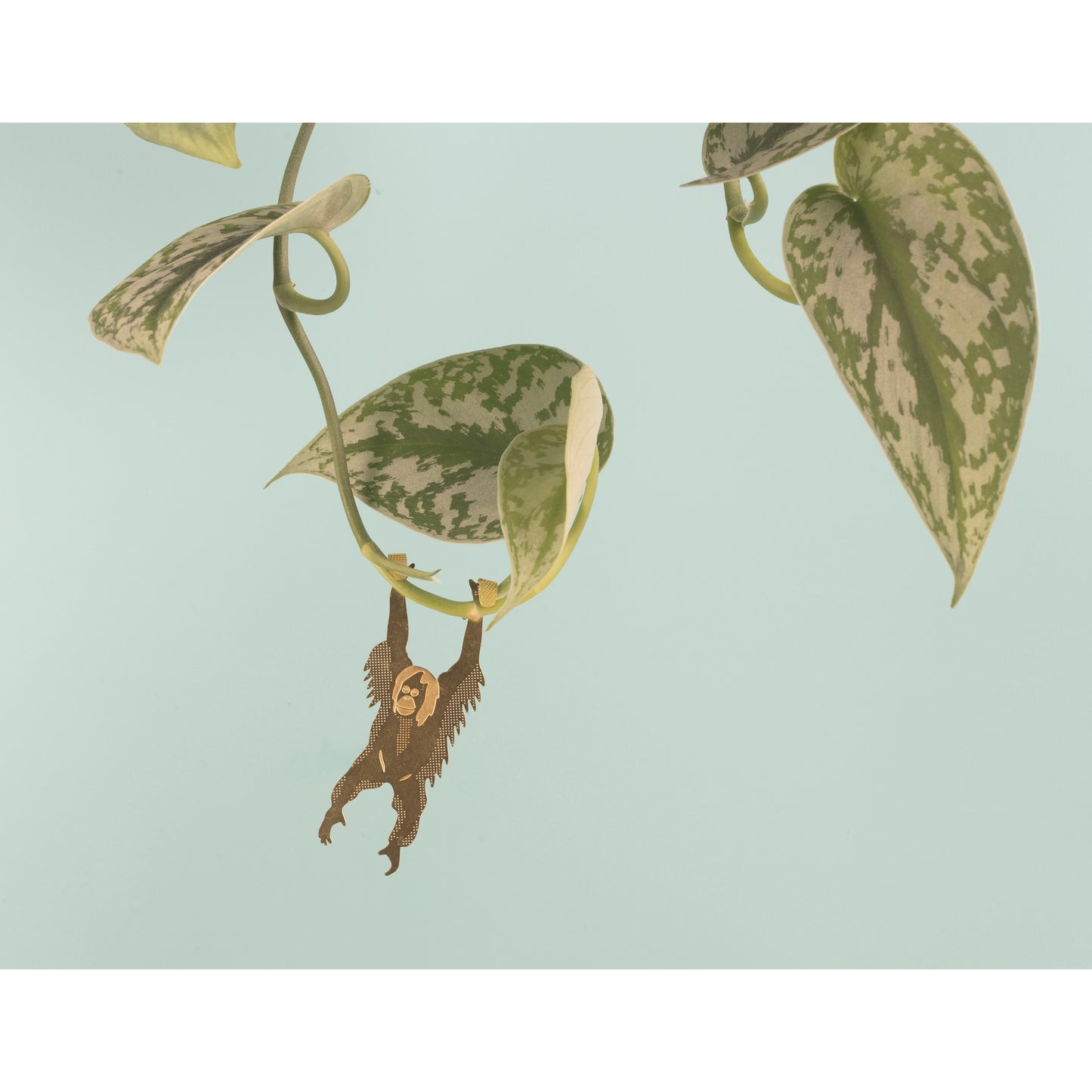 Plant Animal Houseplant Decoration - Orangutan