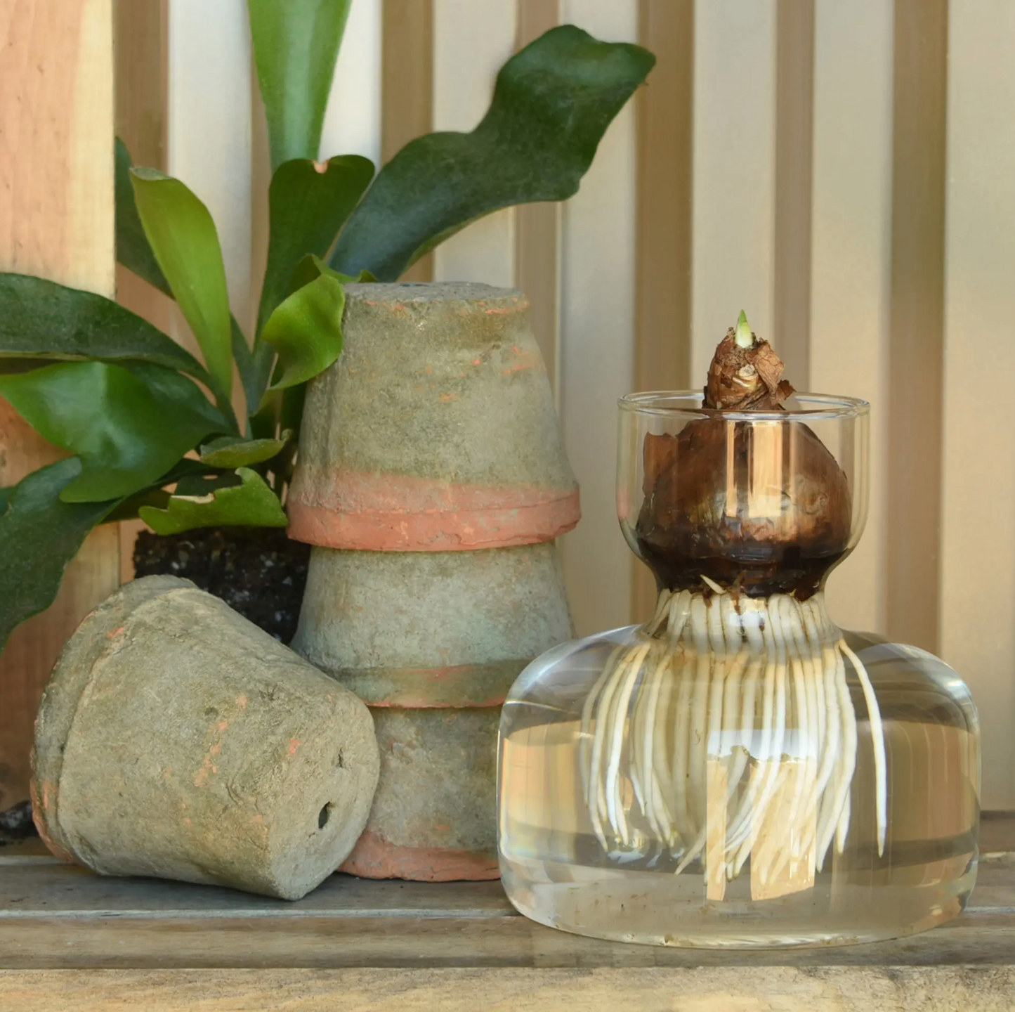 Bulb Vase