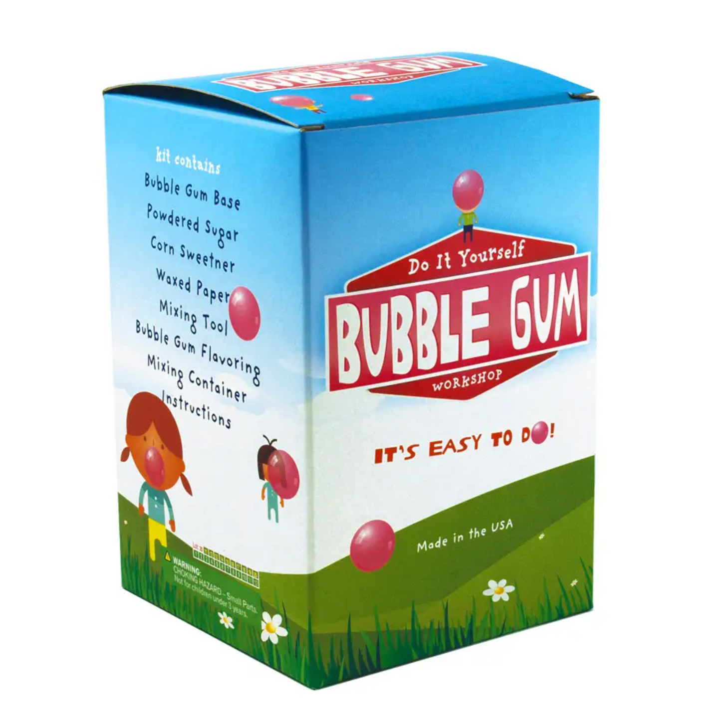 DIY Bubble Gum Kit