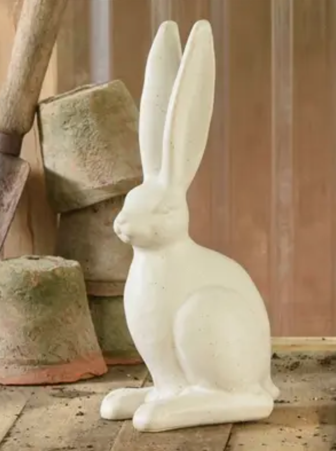 Sitting Hare