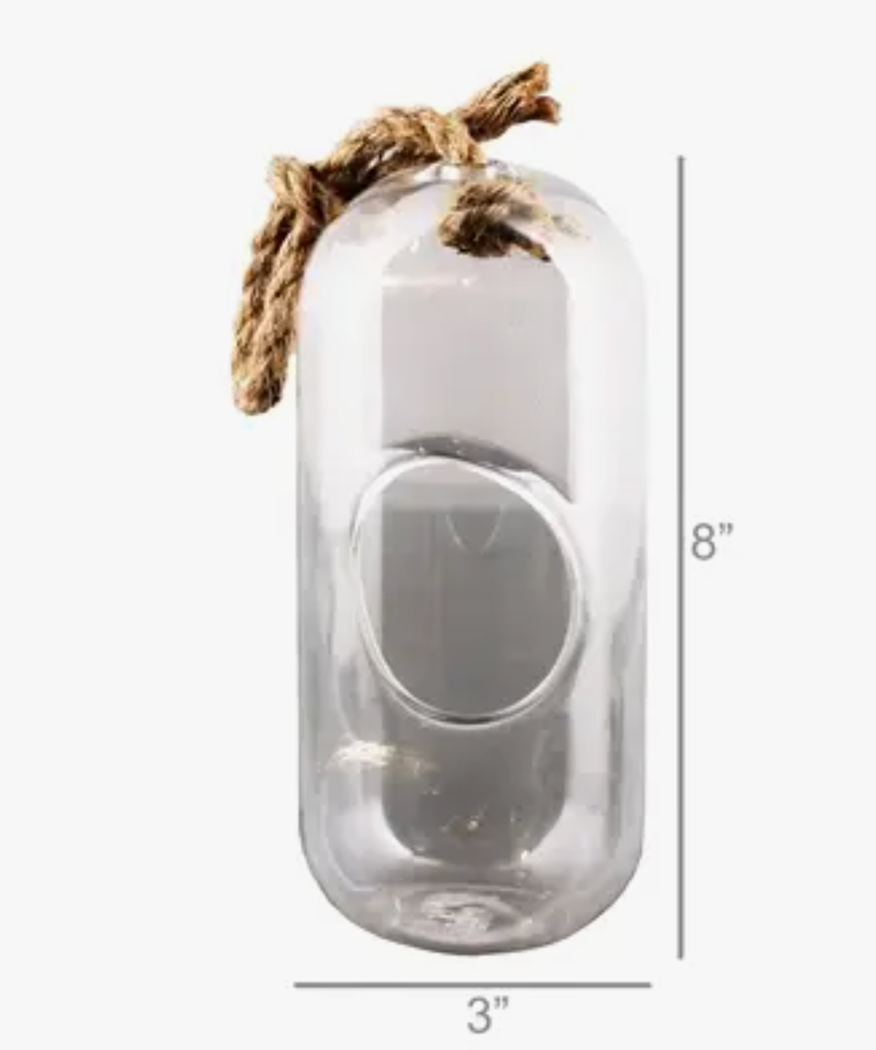 Sole Hanging Terrarium