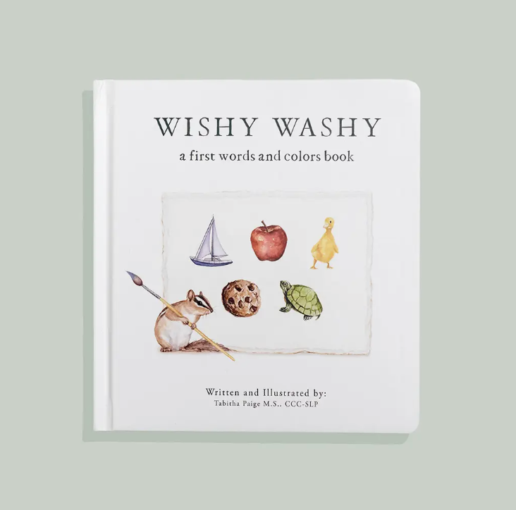 Wishy Washy: A Board Book of First Words and Colors