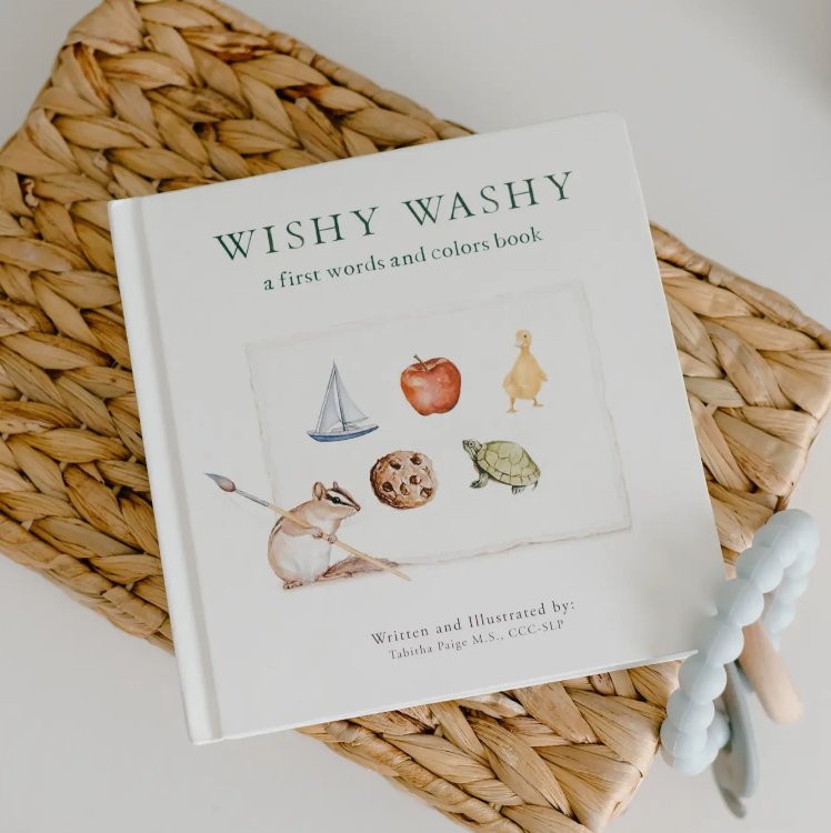 Wishy Washy: A Board Book of First Words and Colors