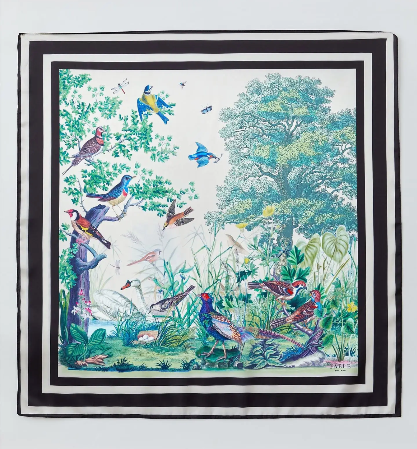 British Birds Print Scarf