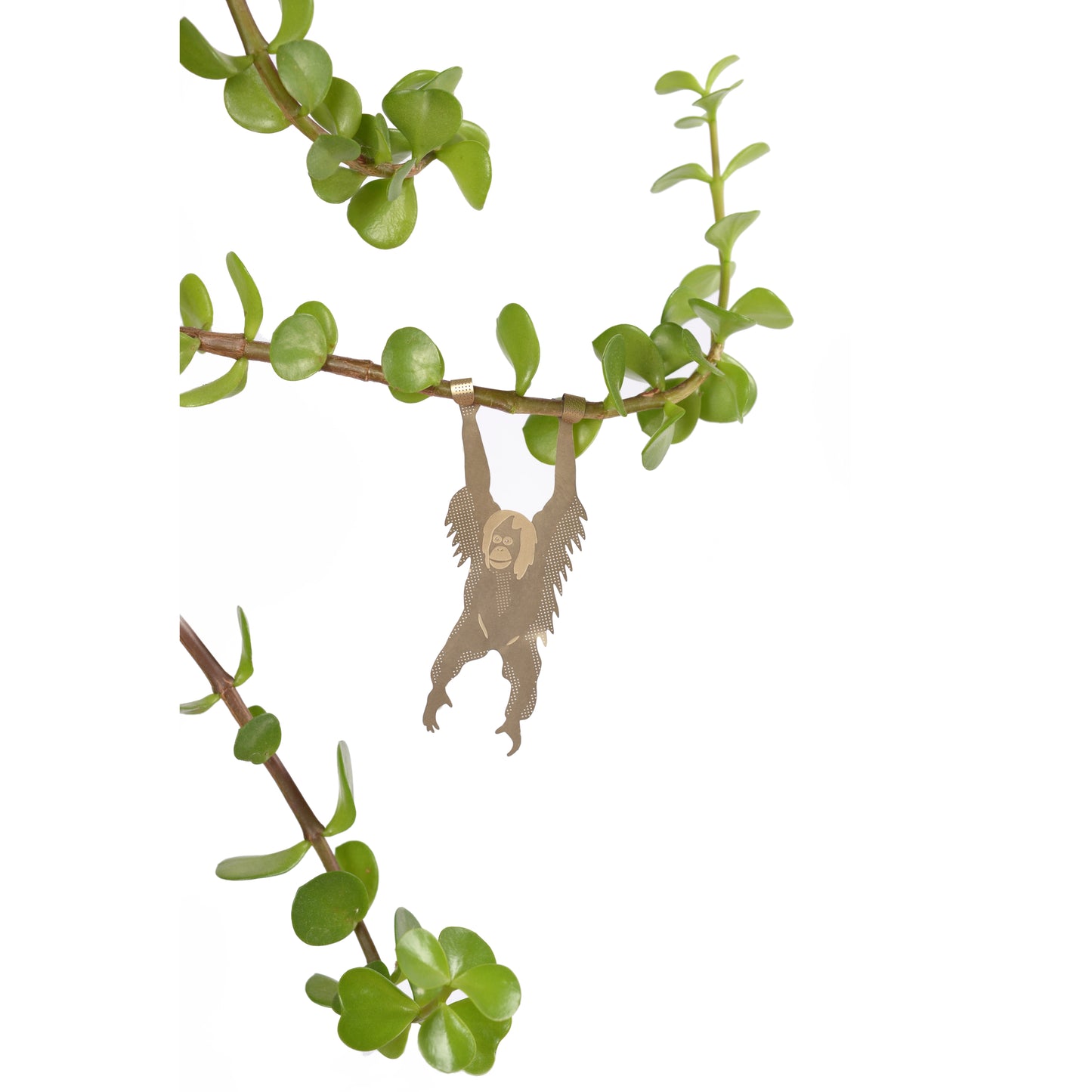 Plant Animal Houseplant Decoration - Orangutan