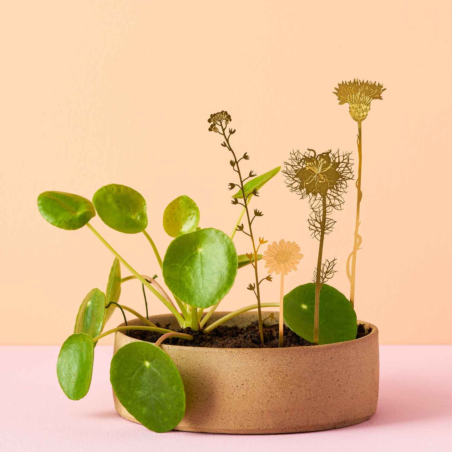 Brass Blooms Wildflowers, Botanical Decoration