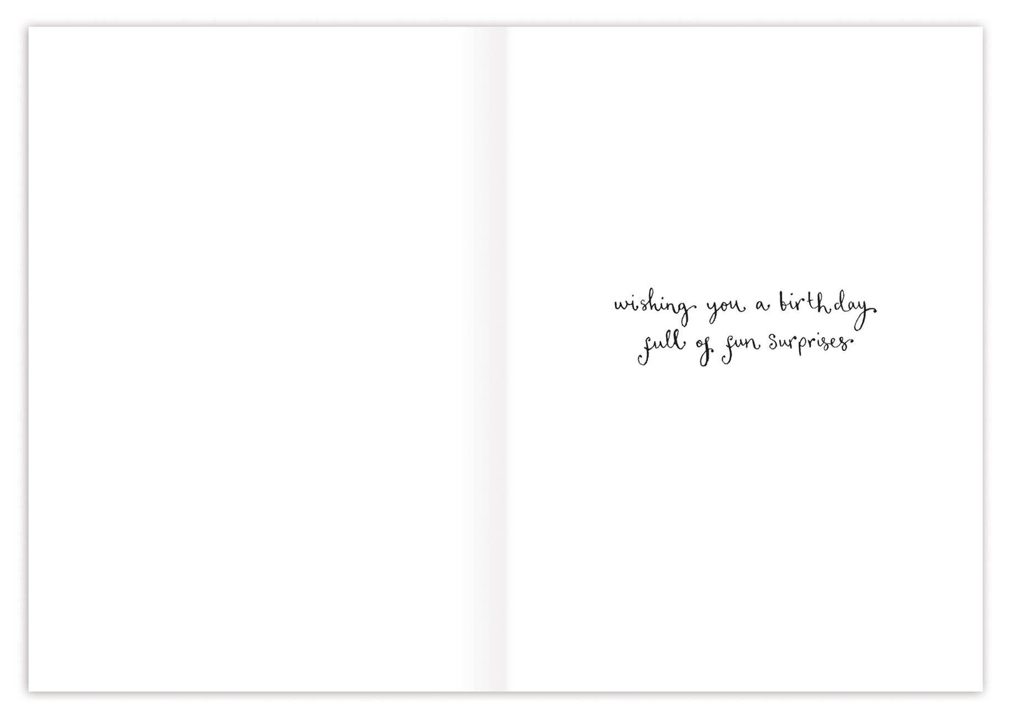 Three Meerkats Birthday Card