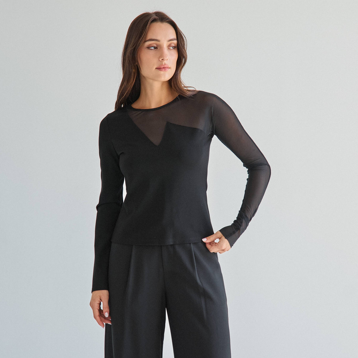 Chic Semi-Sheer Long Sleeve Top