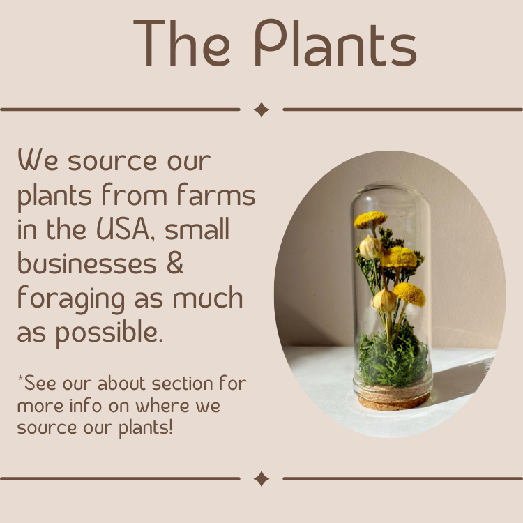 Valentine's Day Mini Bouquet Cards With Dried Flowers 