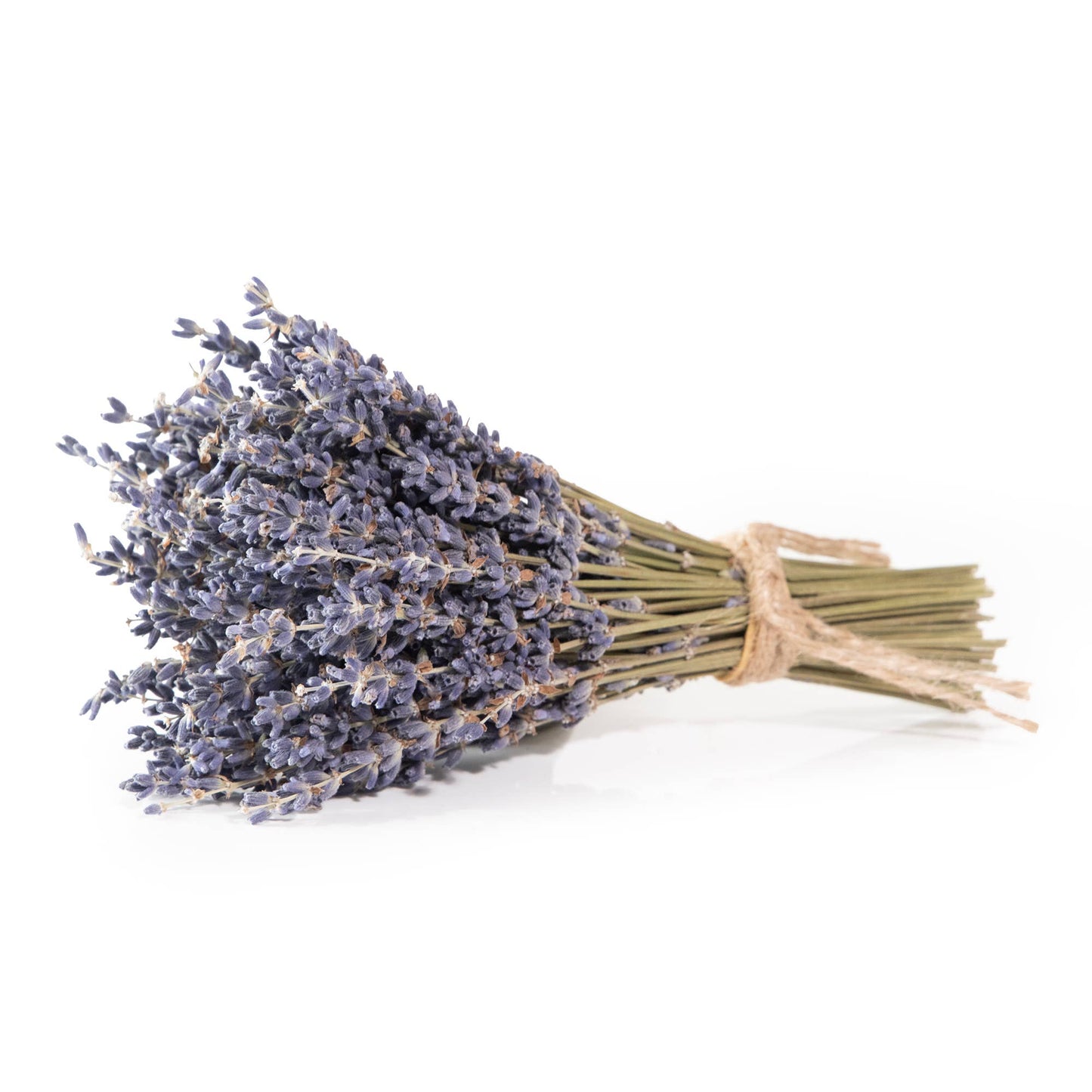 Mini French Lavender Bouquet