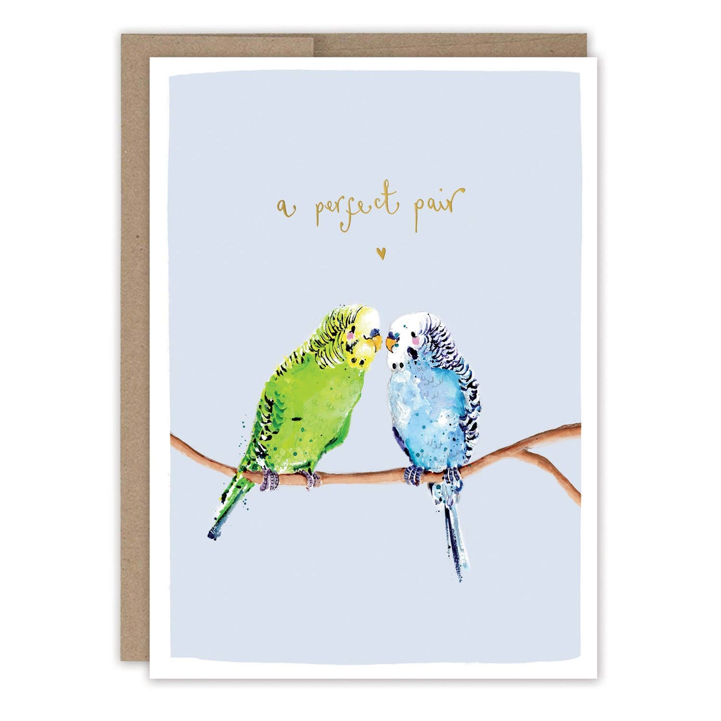 Parakeets Anniversary Card To A Couple