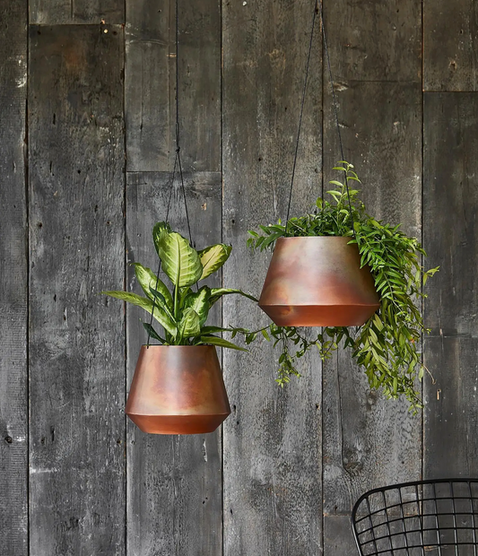 Soho Hanging Planter
