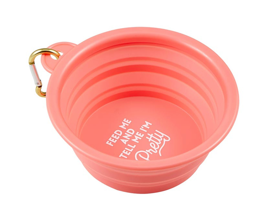 Collapsible Bowl - Feed Me