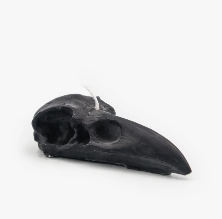 Small Raven Skull | Pillar Candle