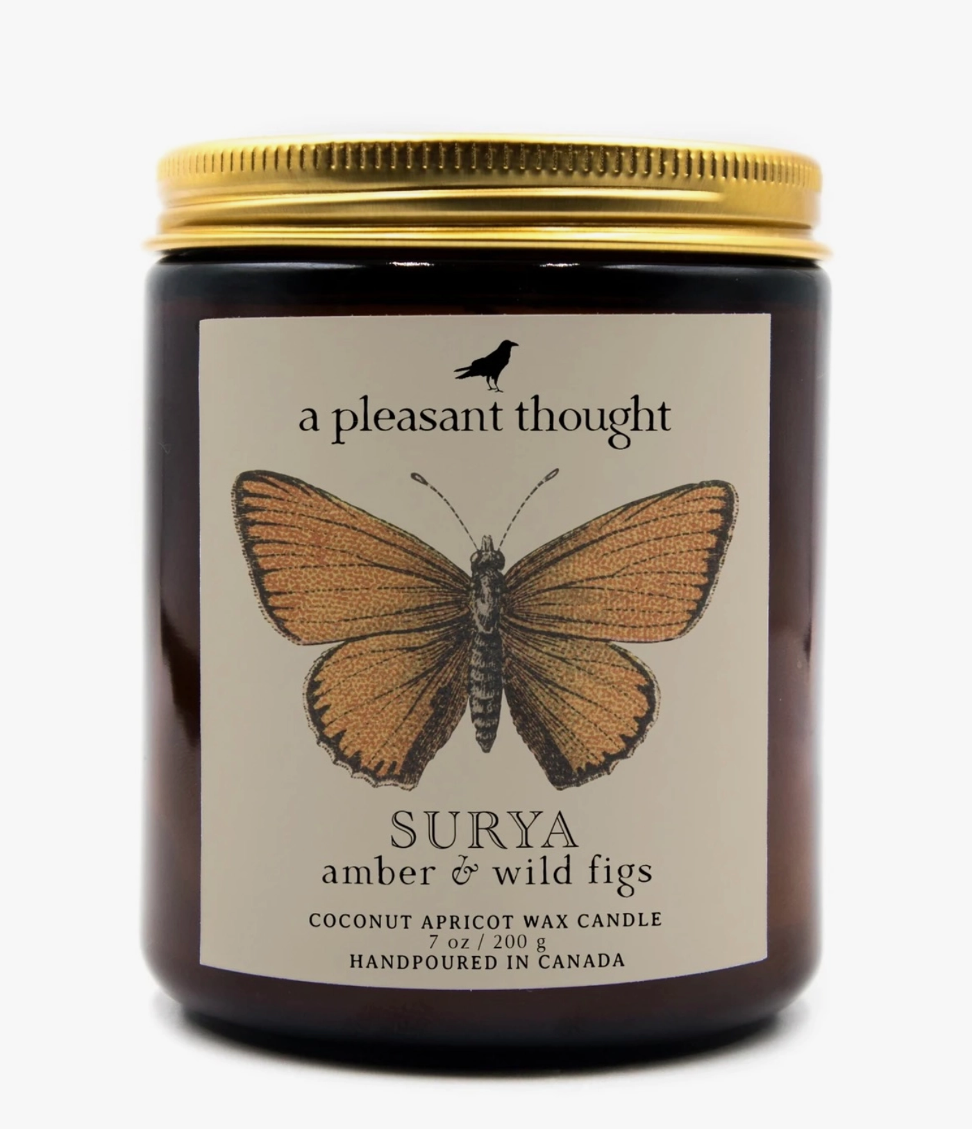 Surya | Amber & Wild Figs | Jar Candle