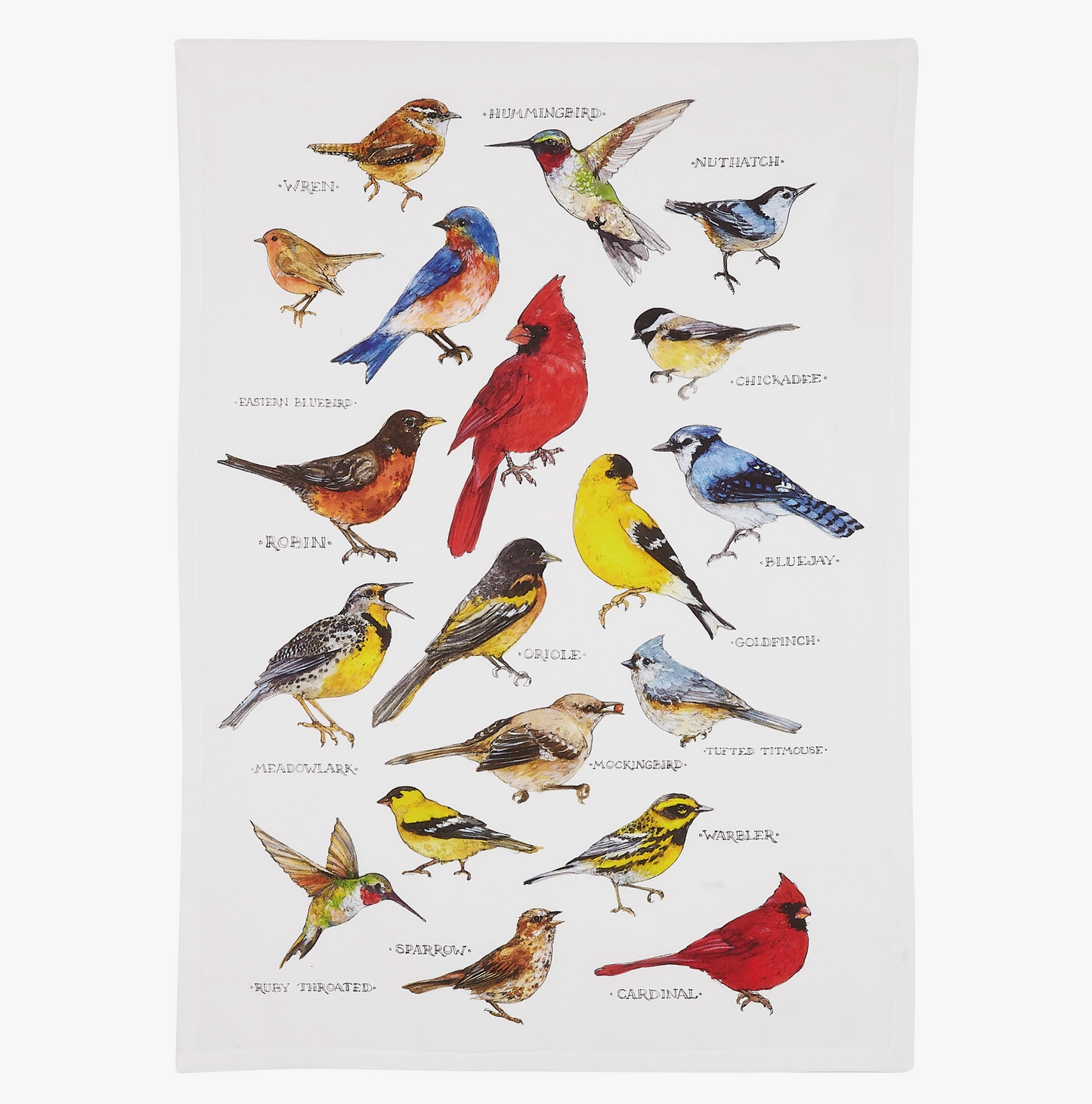 Field Guide Birds Printed Kitchen Towel
