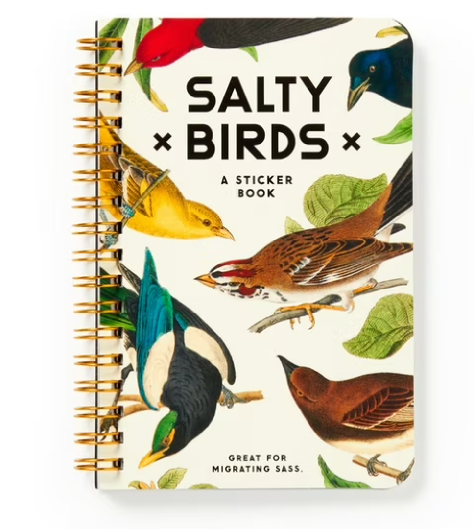Sticker Book Salty Birds Sticker Book