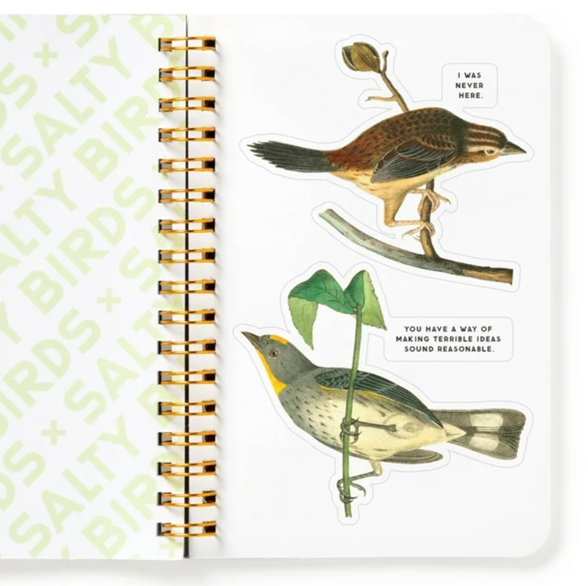 Sticker Book Salty Birds Sticker Book
