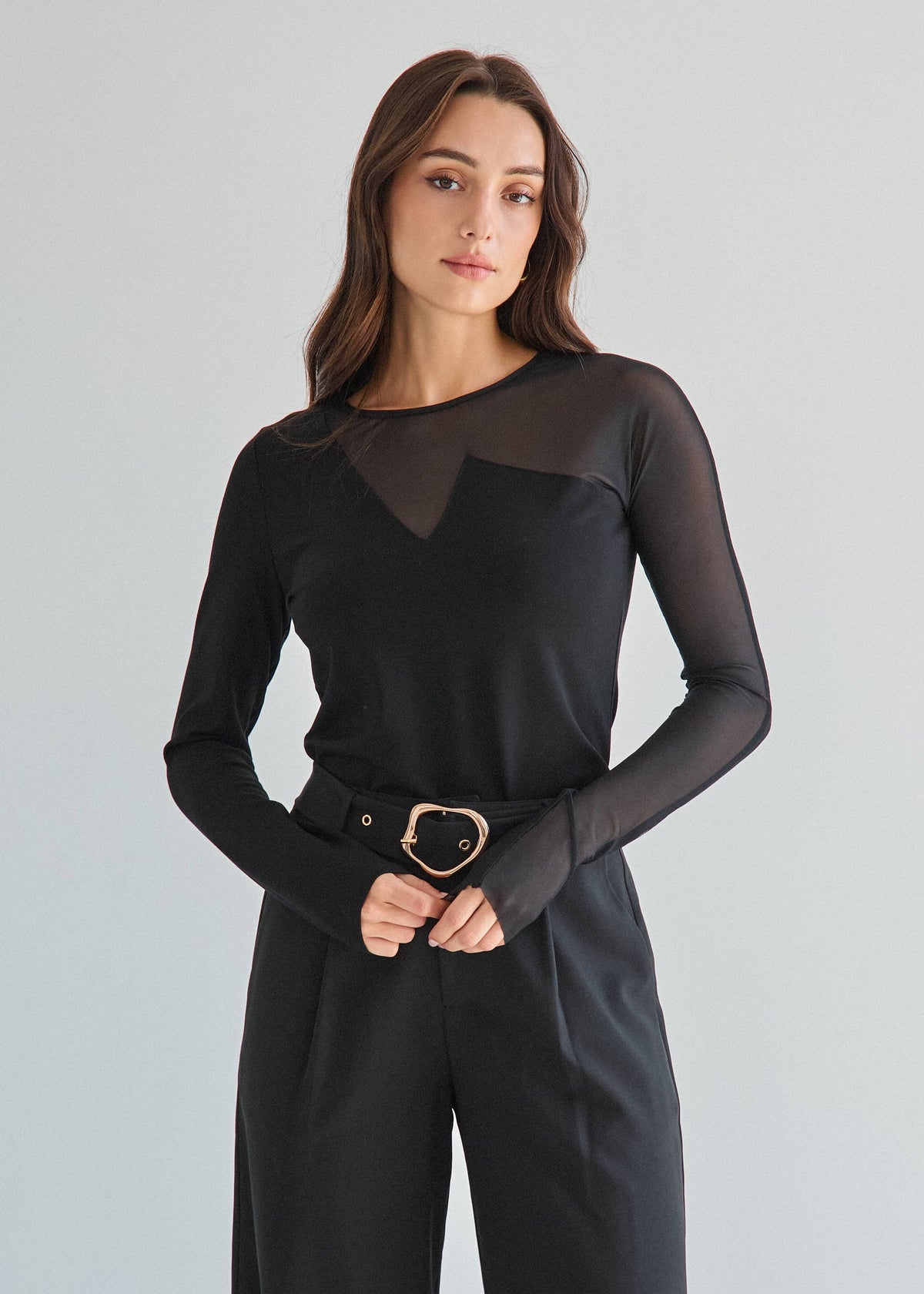 Chic Semi-Sheer Long Sleeve Top