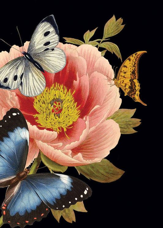 Peony Mini Card