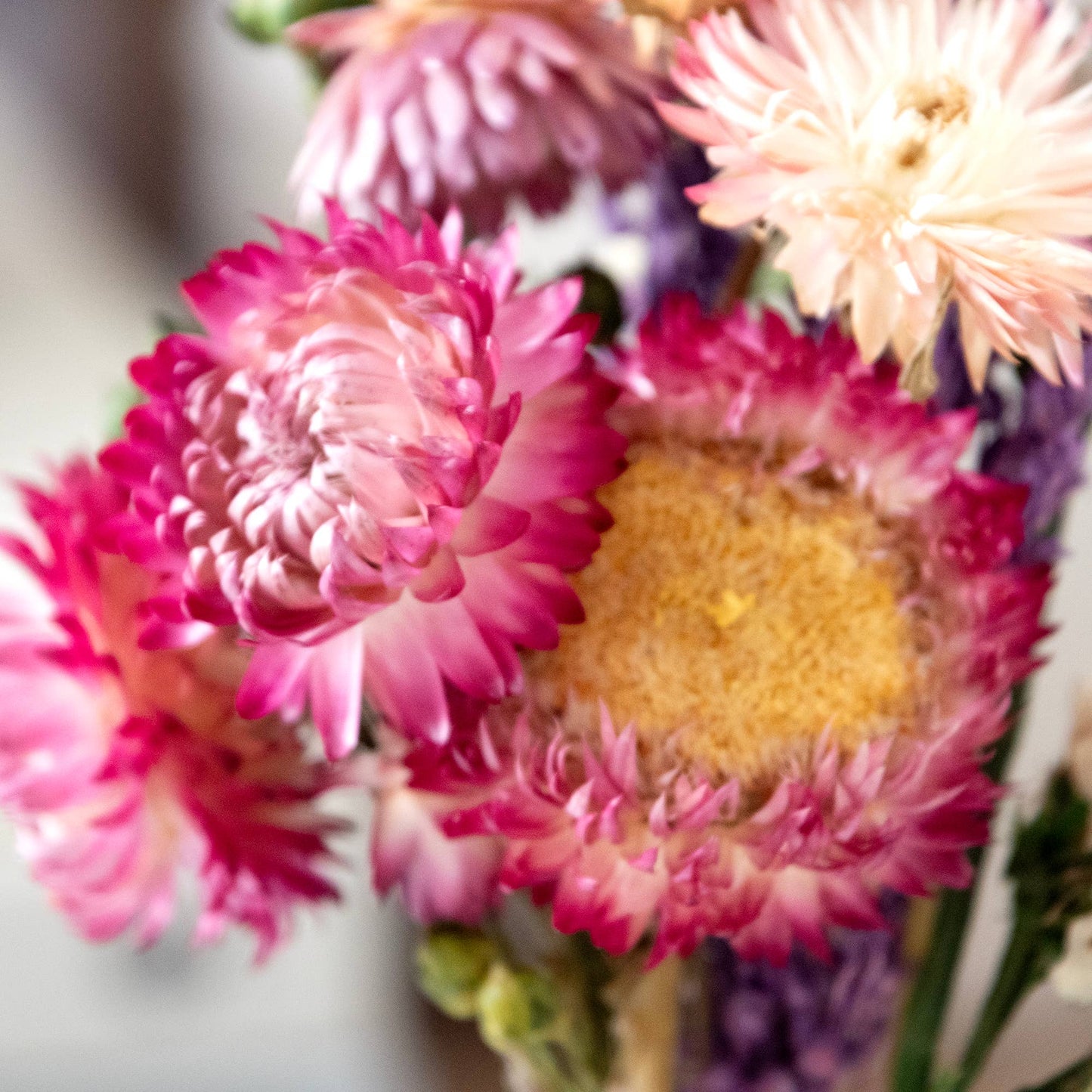 Mini Strawflower & Larkspur Bouquet