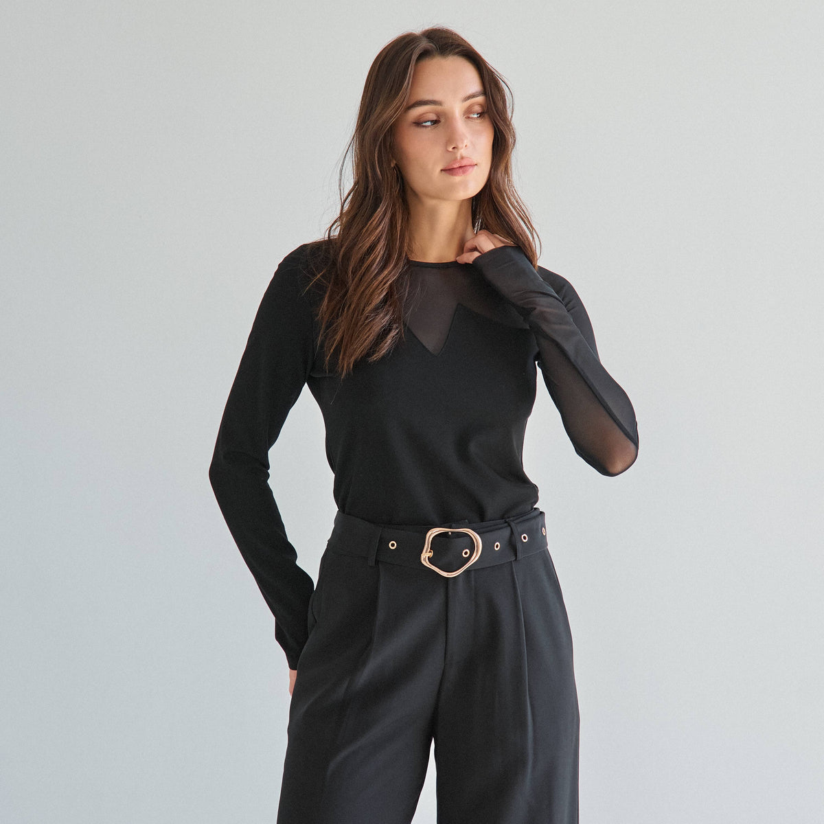 Chic Semi-Sheer Long Sleeve Top