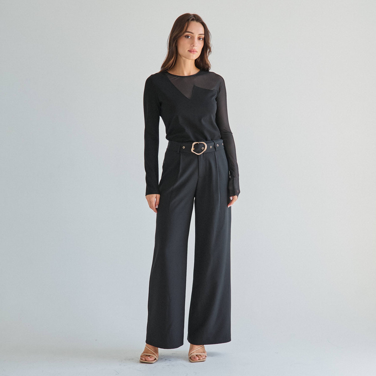 Chic Semi-Sheer Long Sleeve Top