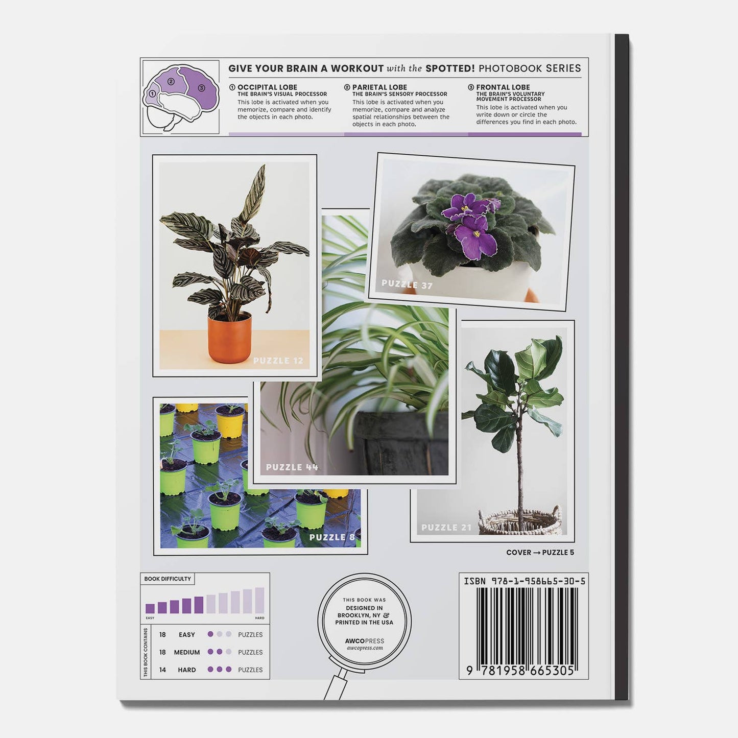 Houseplants Spot the Difference Puzzles, I Spy Activity Book
