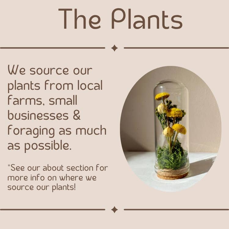 Happy Birthday Mini Pink Dried Floral Bouquet Card