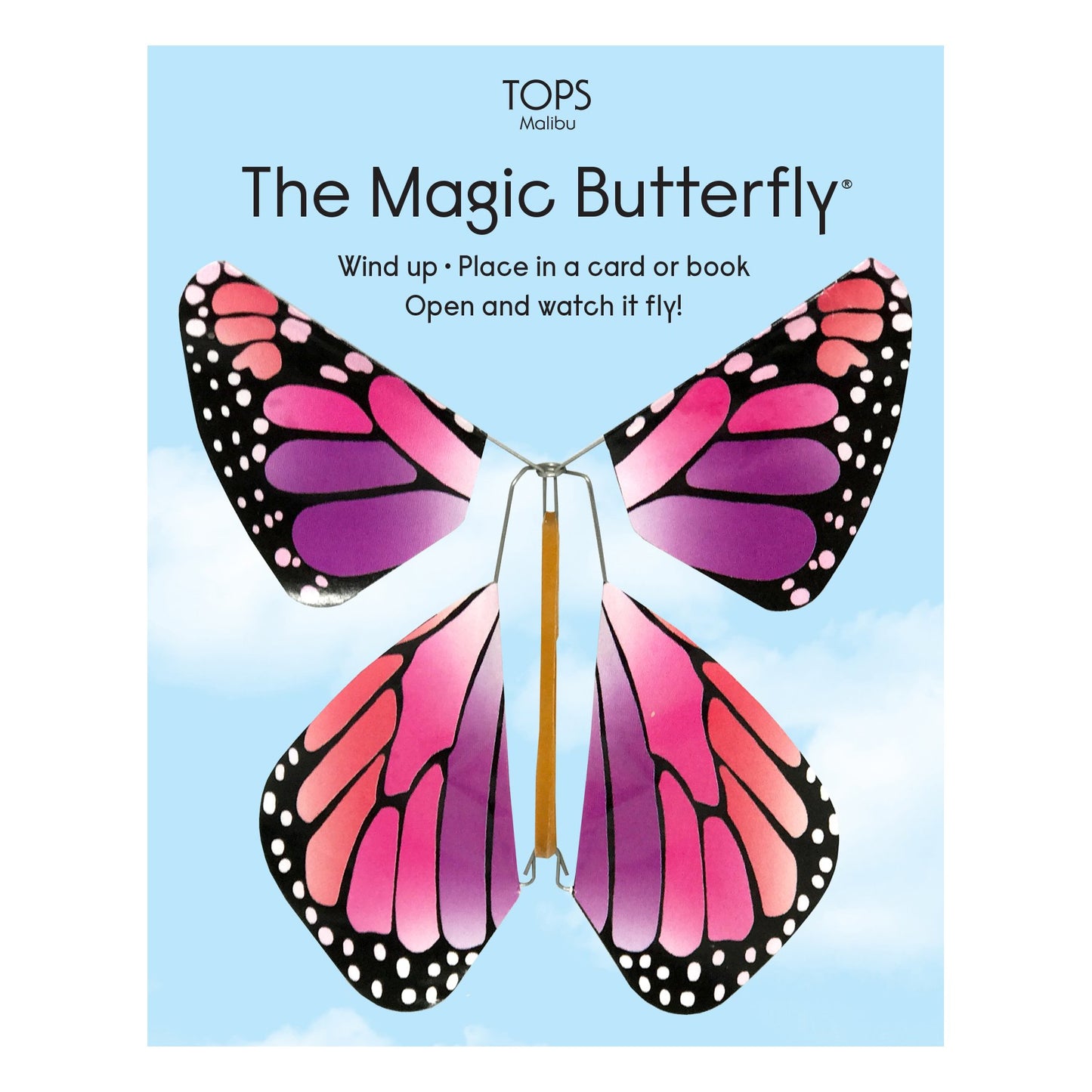 Magic Flying Butterfly Rainbow