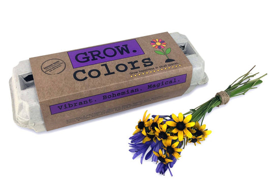 Colors Flower Garden Grow Kit