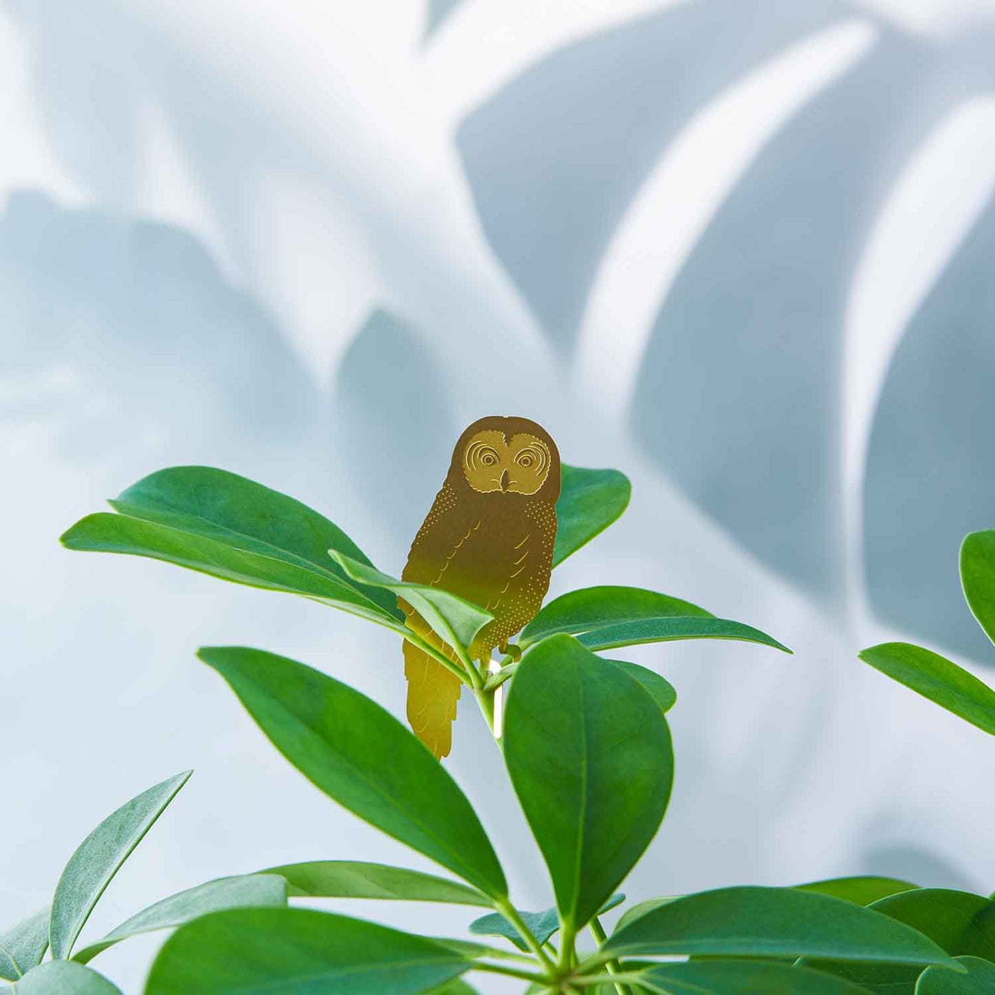 Plant Animal Decoration - Owl
