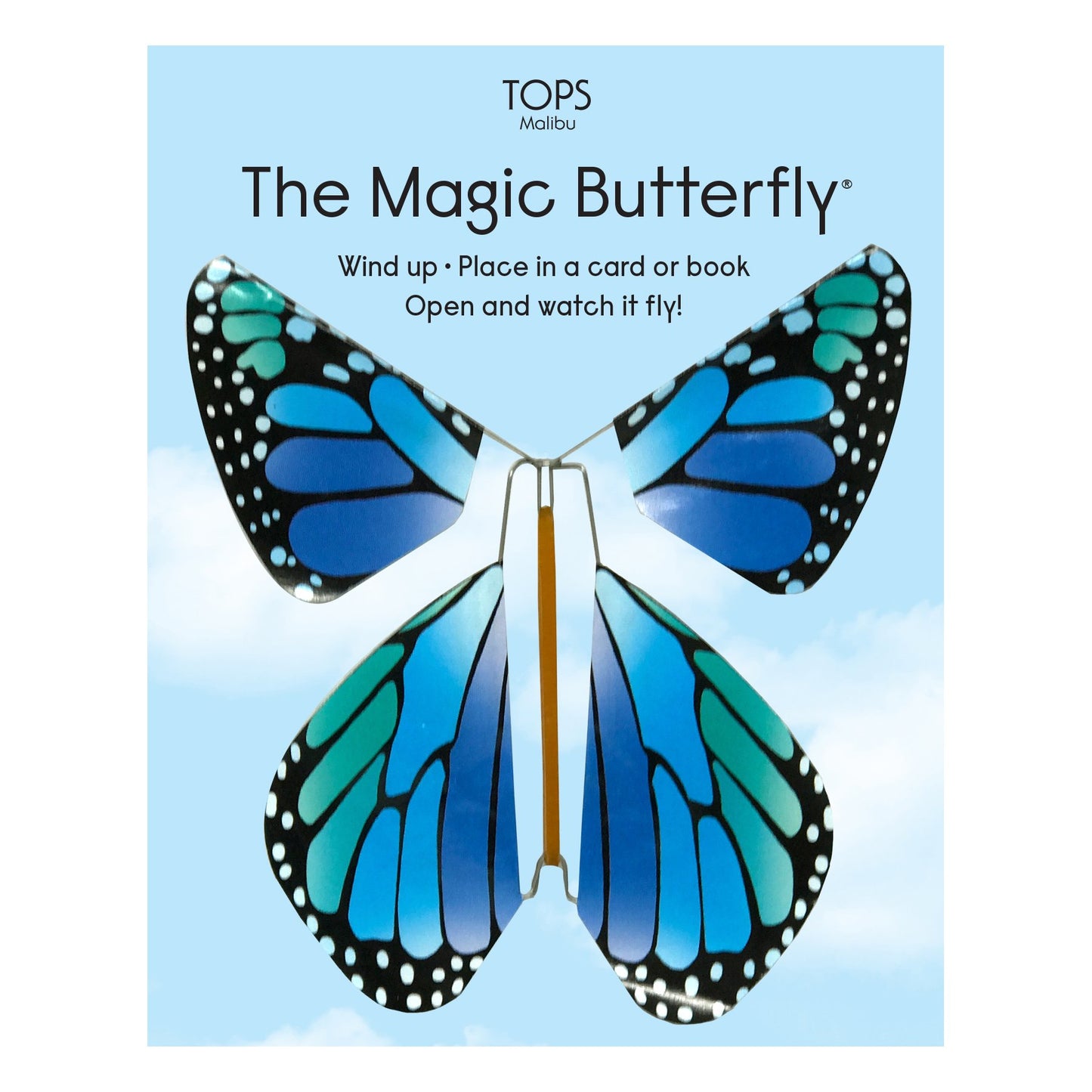 Magic Flying Butterfly Rainbow