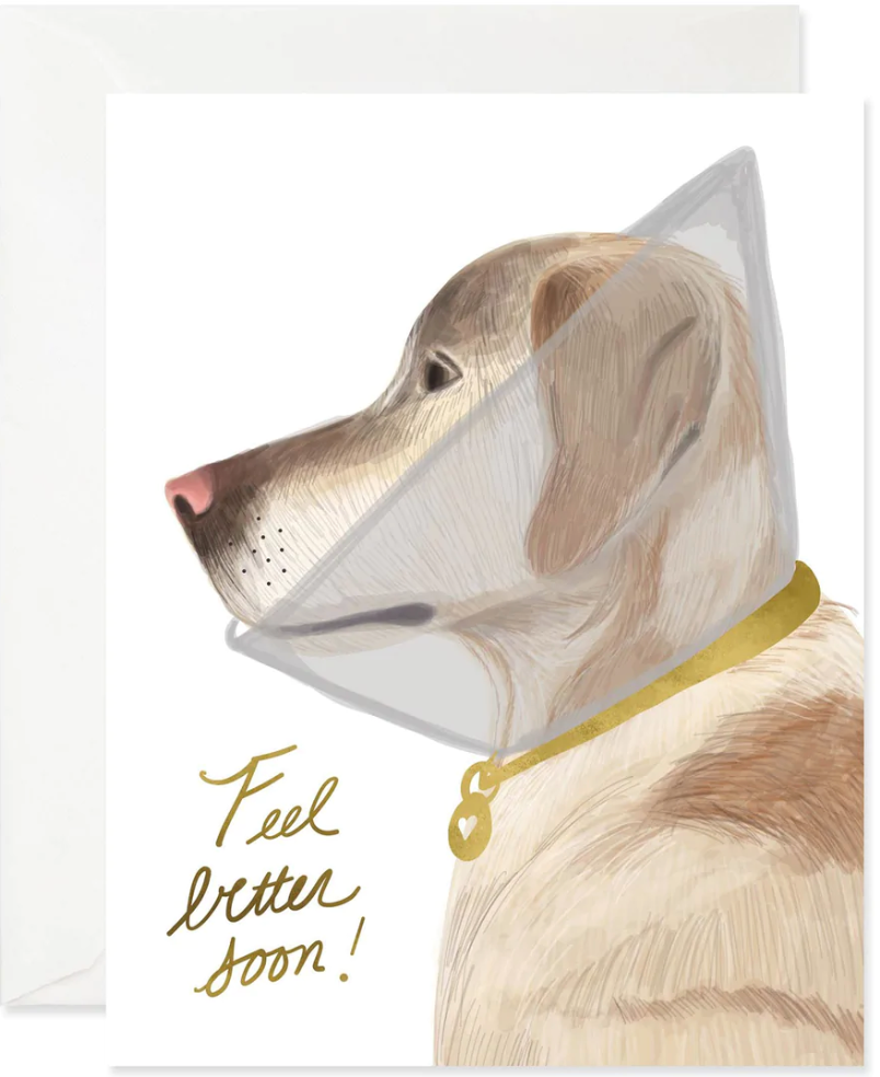 Feel Better Doggie - Greeting Card