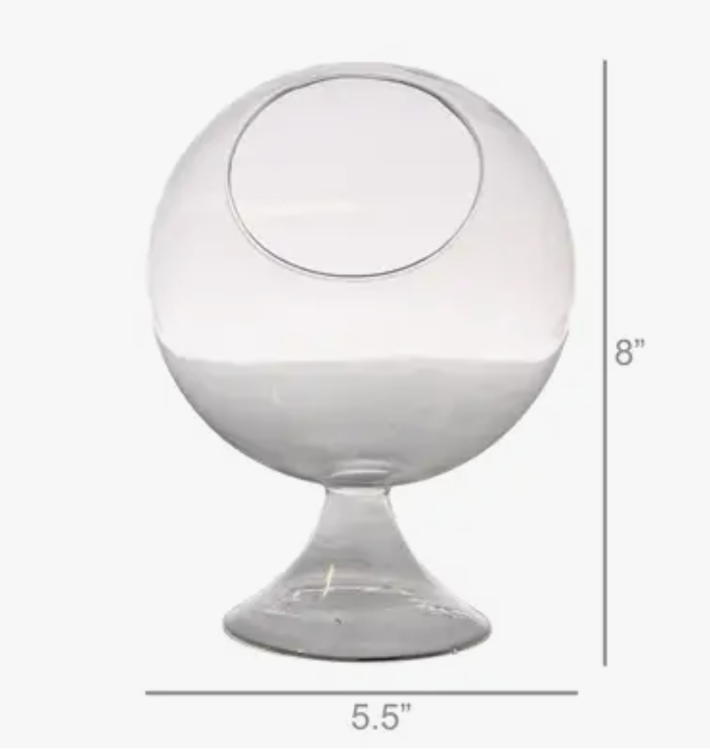 Sole Terrarium